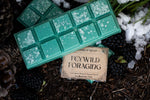 Load image into Gallery viewer, Feywild Foraging Wax Melts – Snowy Spruce, Winter Berries &amp; Honeyed Pinecone
