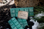 Load image into Gallery viewer, Feywild Foraging Wax Melts – Snowy Spruce, Winter Berries &amp; Honeyed Pinecone
