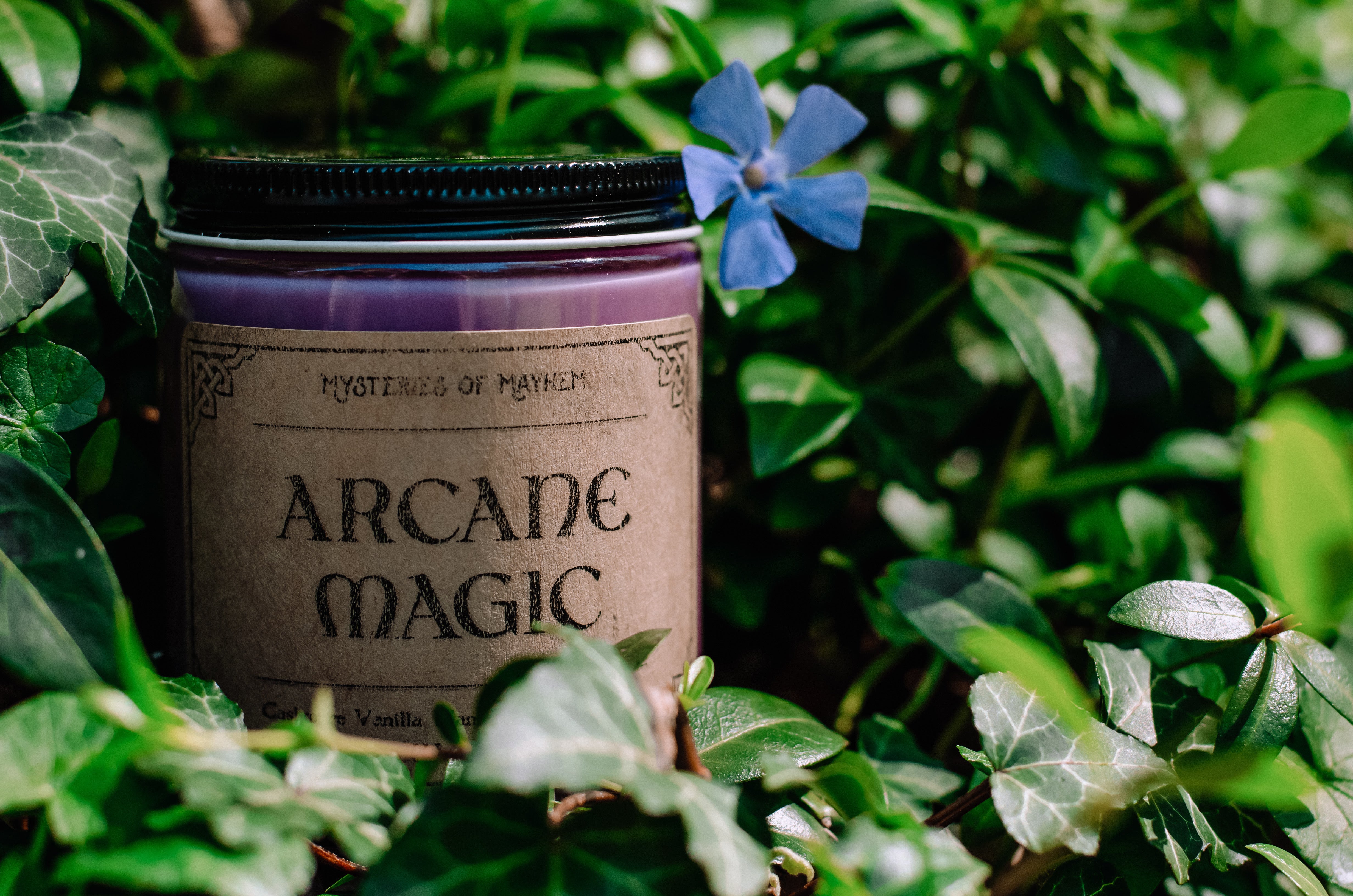 Arcane Magic - Cashmere Vanilla, Mandarin, and Sandalwood Scented