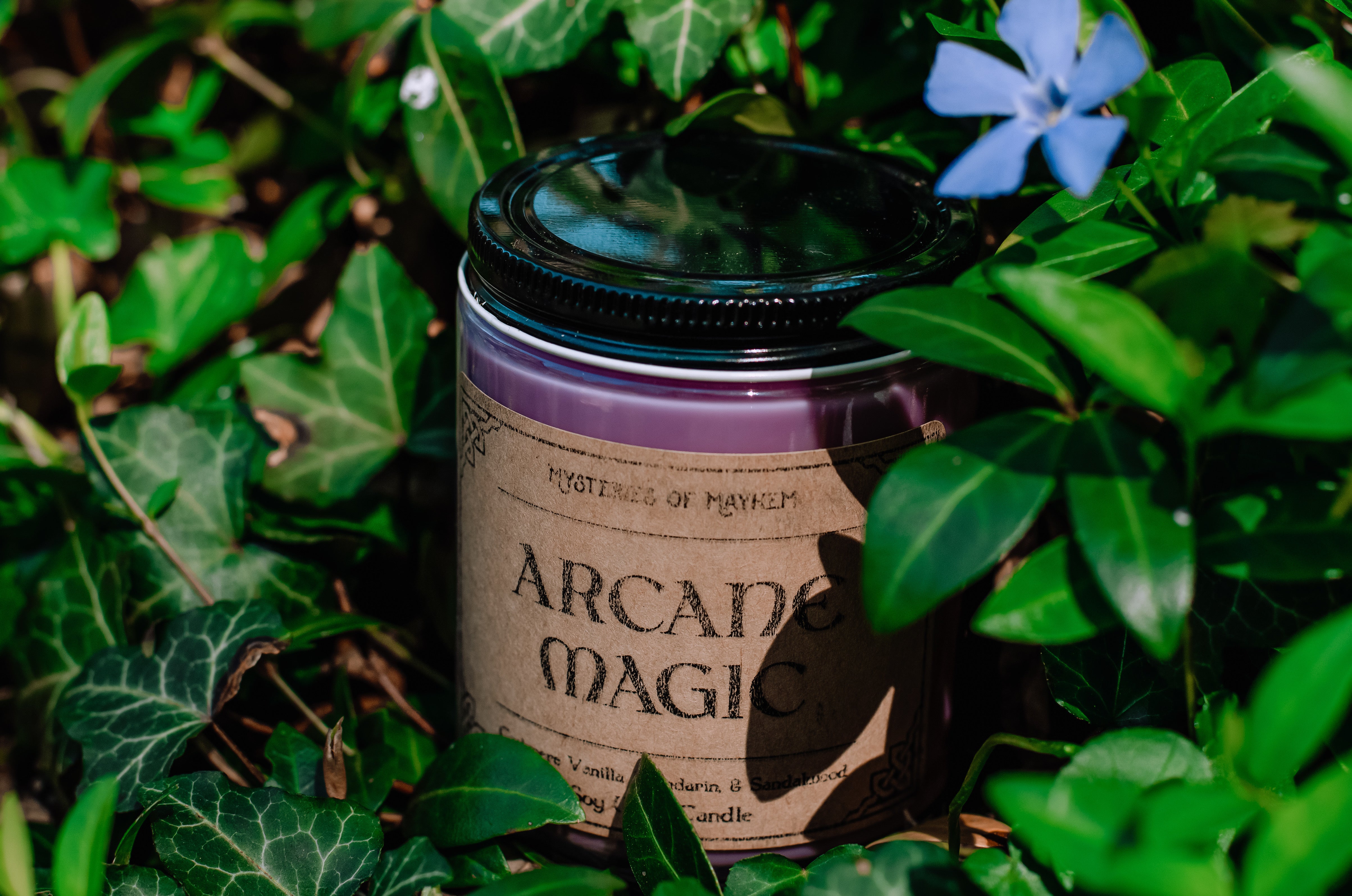 Arcane Magic - Cashmere Vanilla, Mandarin, and Sandalwood Scented