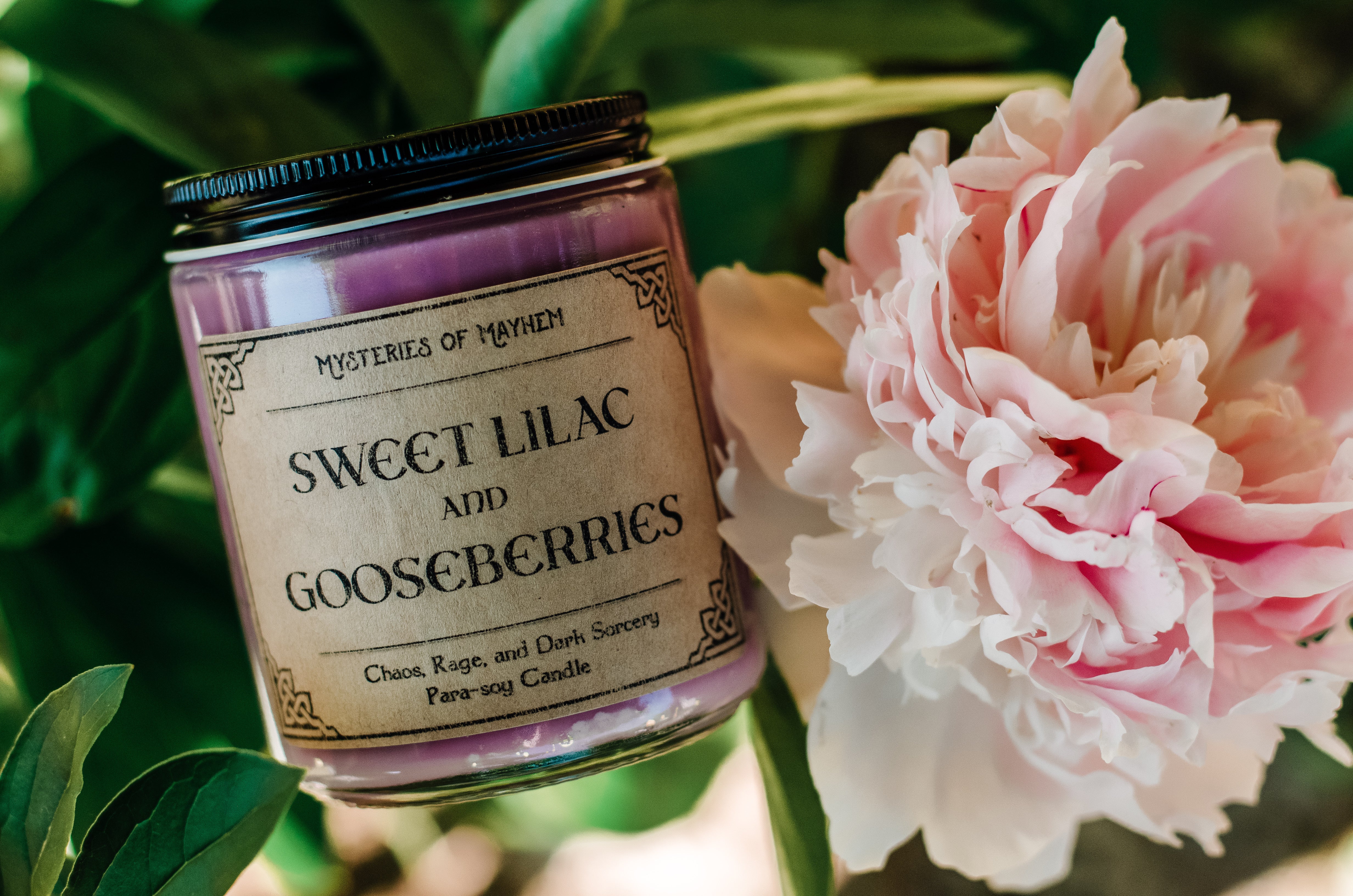 Sweet Lilac and Gooseberries - Lilac and Gooseberries Scented